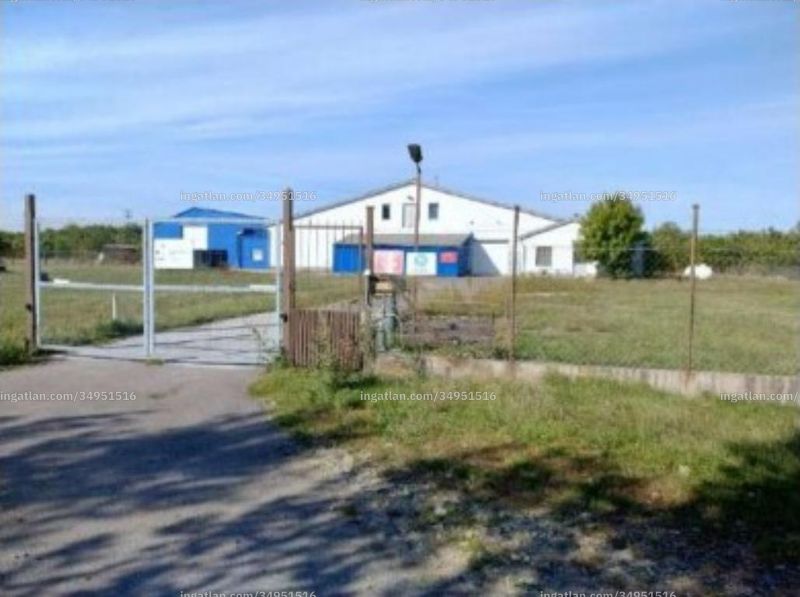 Kép az ingatlanról