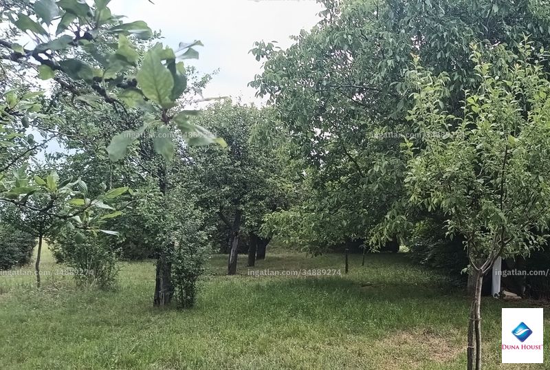 Hirdetés fotója