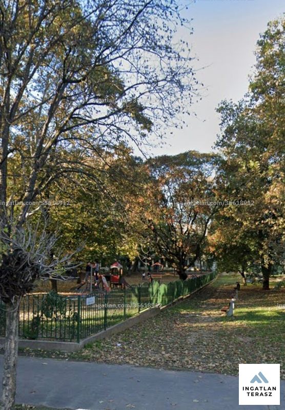 kilátás
