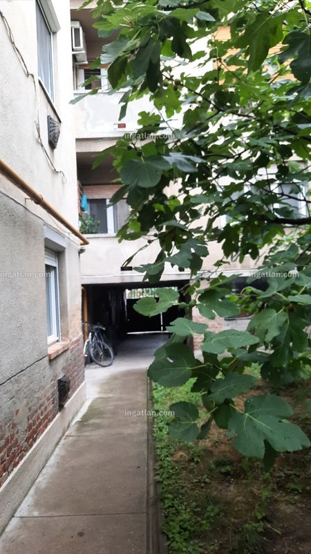Foto auflisten