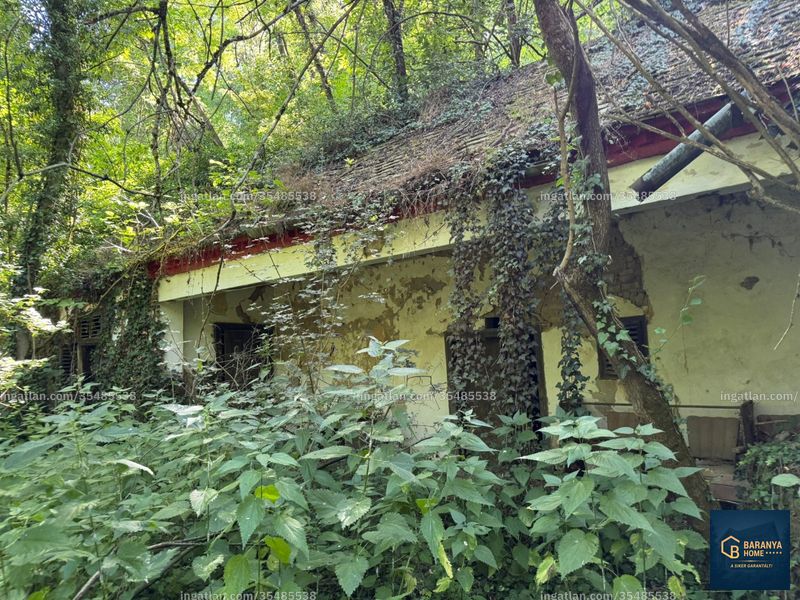 Ingatlan kép