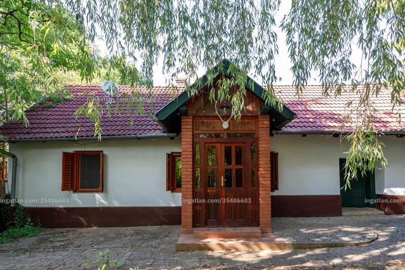 Ingatlan kép