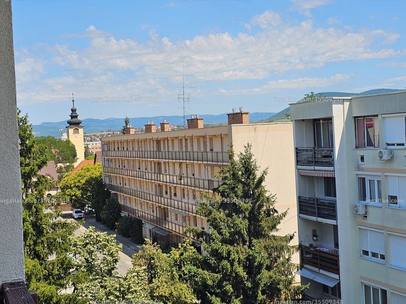 kilátás