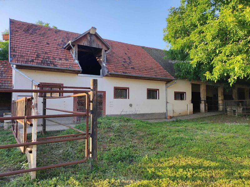 Kép az ingatlanról