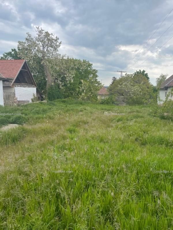 Foto auflisten