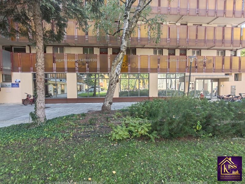 Ingatlan kép