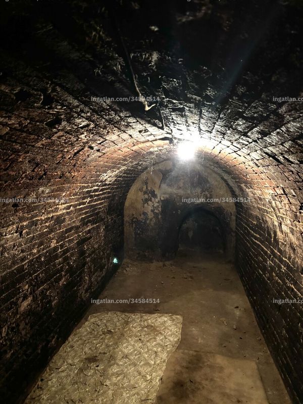 cellar