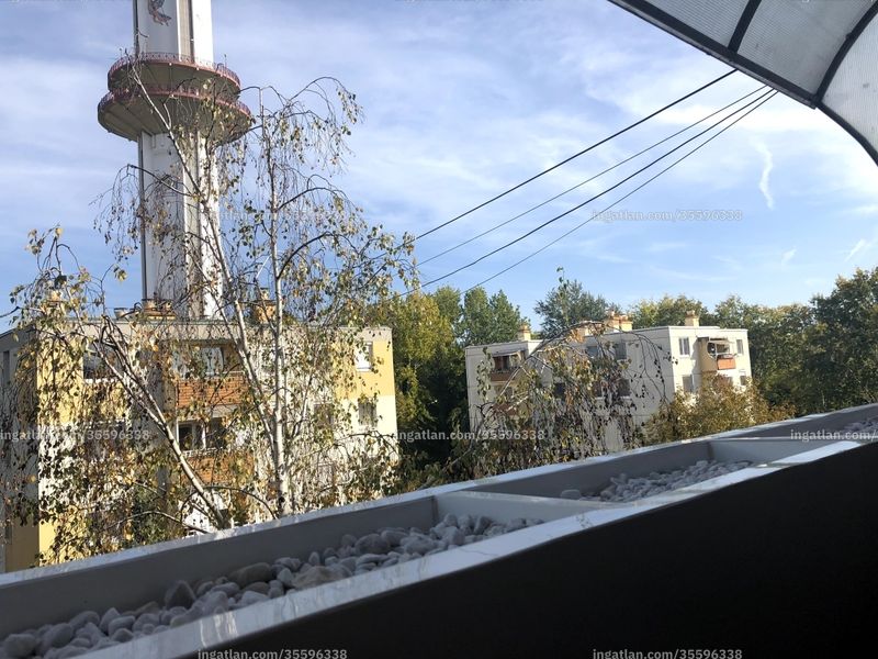 Bild über die Immobilie