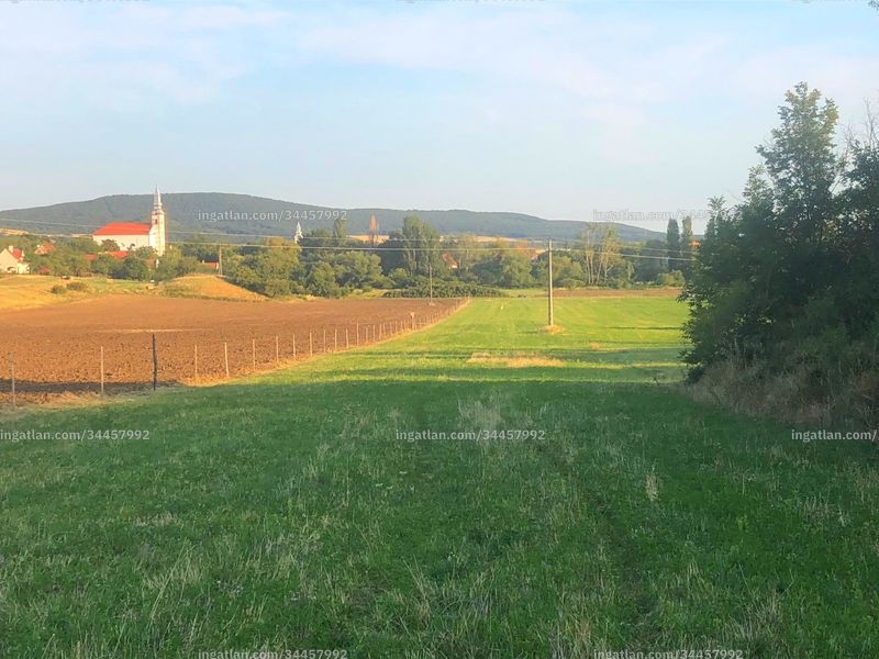 Foto auflisten