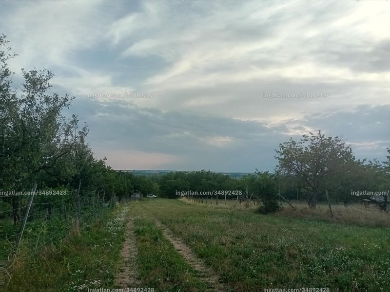 Foto auflisten