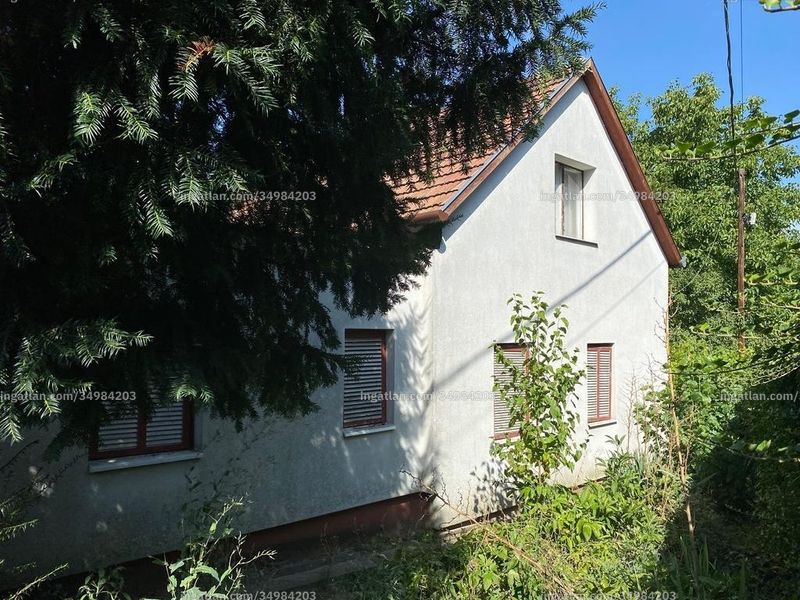 Ingatlan kép