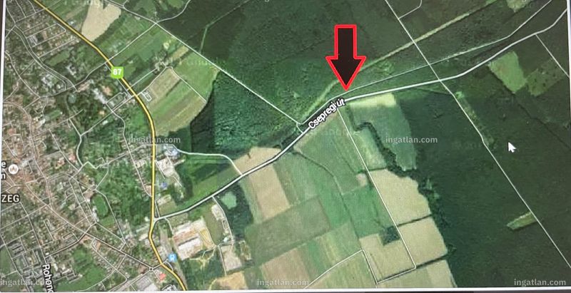 Kép az ingatlanról