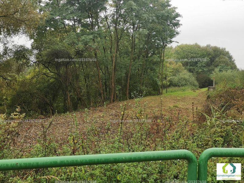 Hirdetés fotója