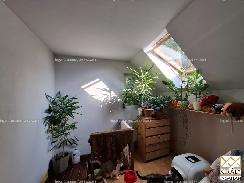 Foto auflisten