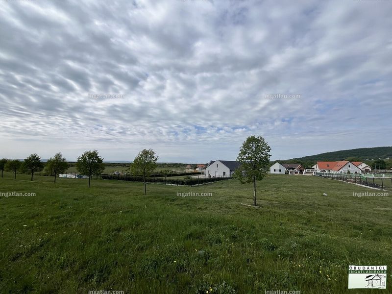 Foto auflisten