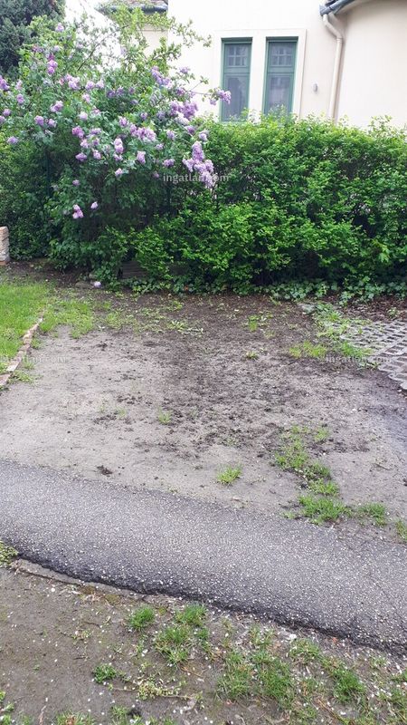 Bild über die Immobilie