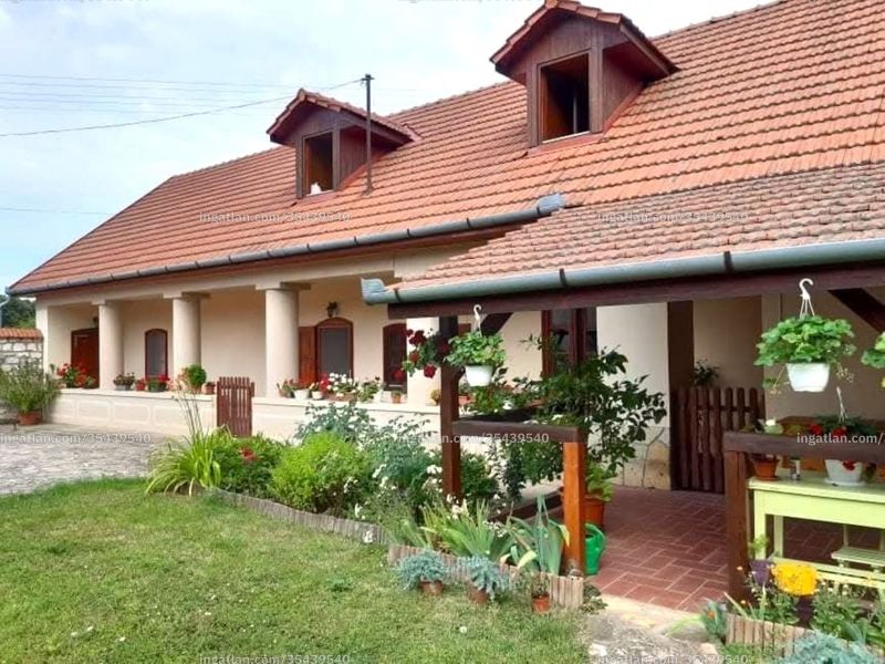 Ingatlan kép