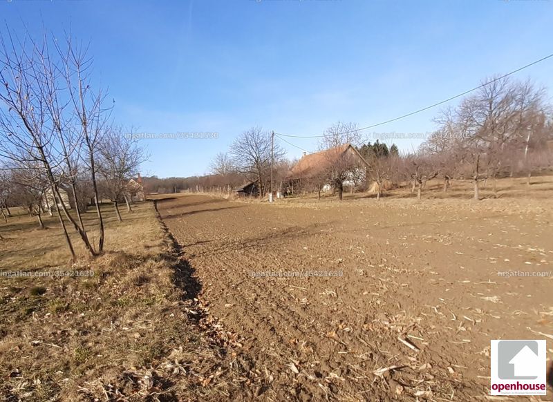 Foto auflisten