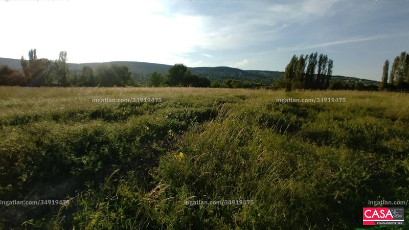 Foto auflisten