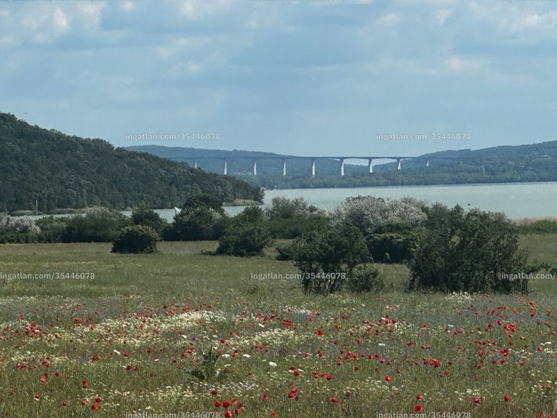 kilátás