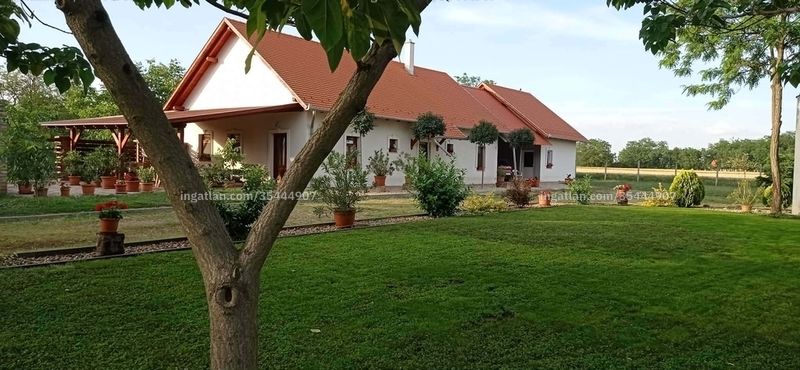 Ingatlan kép