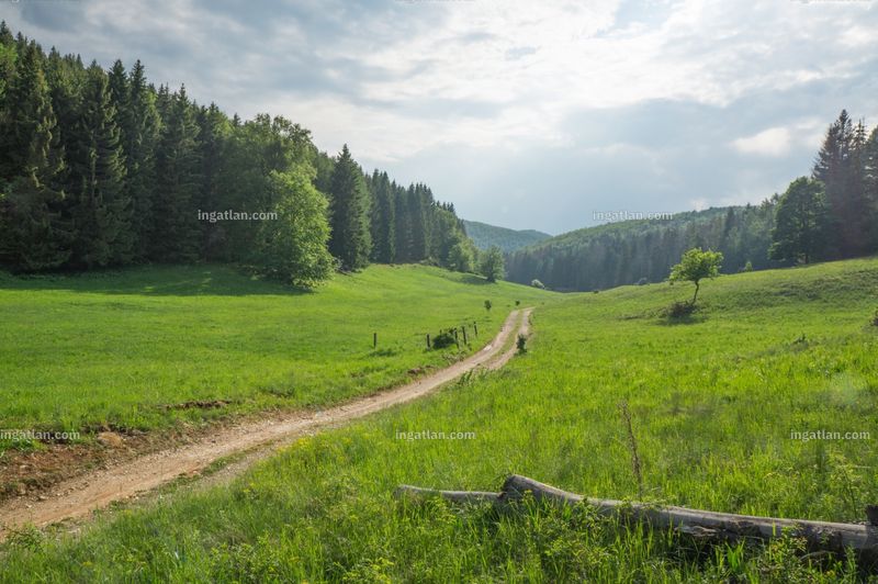 Foto auflisten
