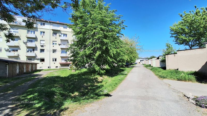 neighborhood