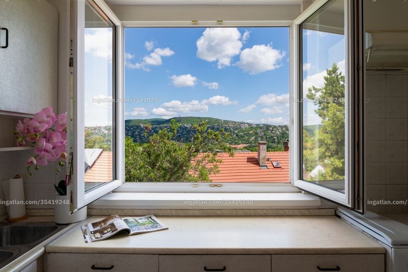 view