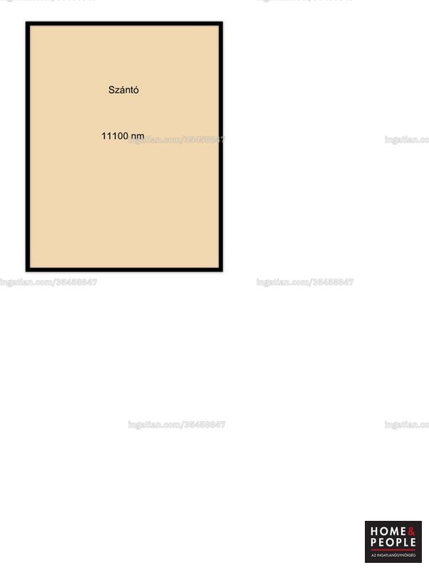 Picture of the real estate
