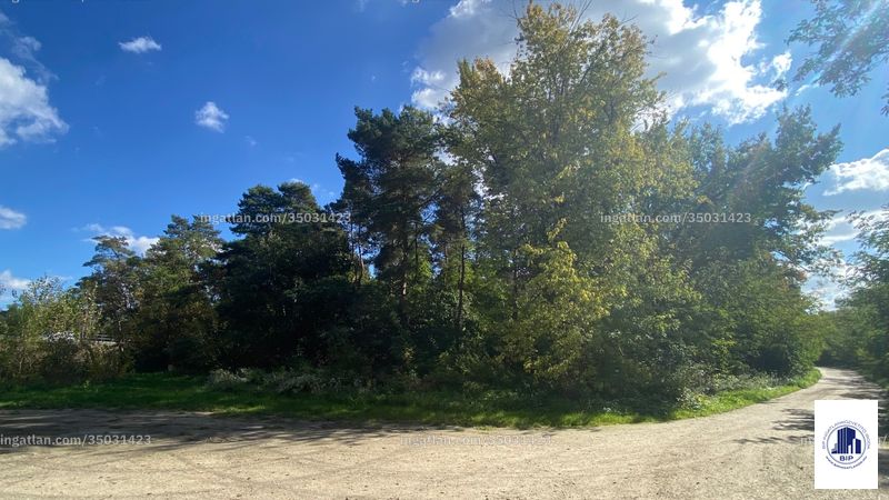 Foto auflisten