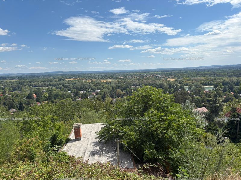 kilátás