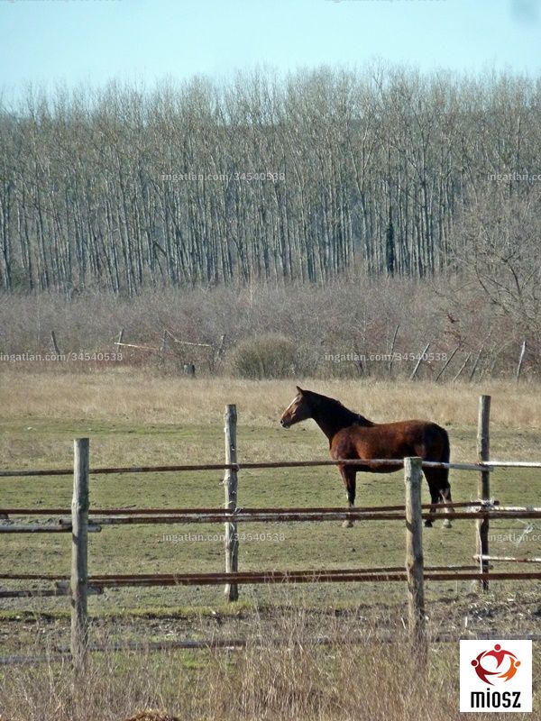 Foto auflisten