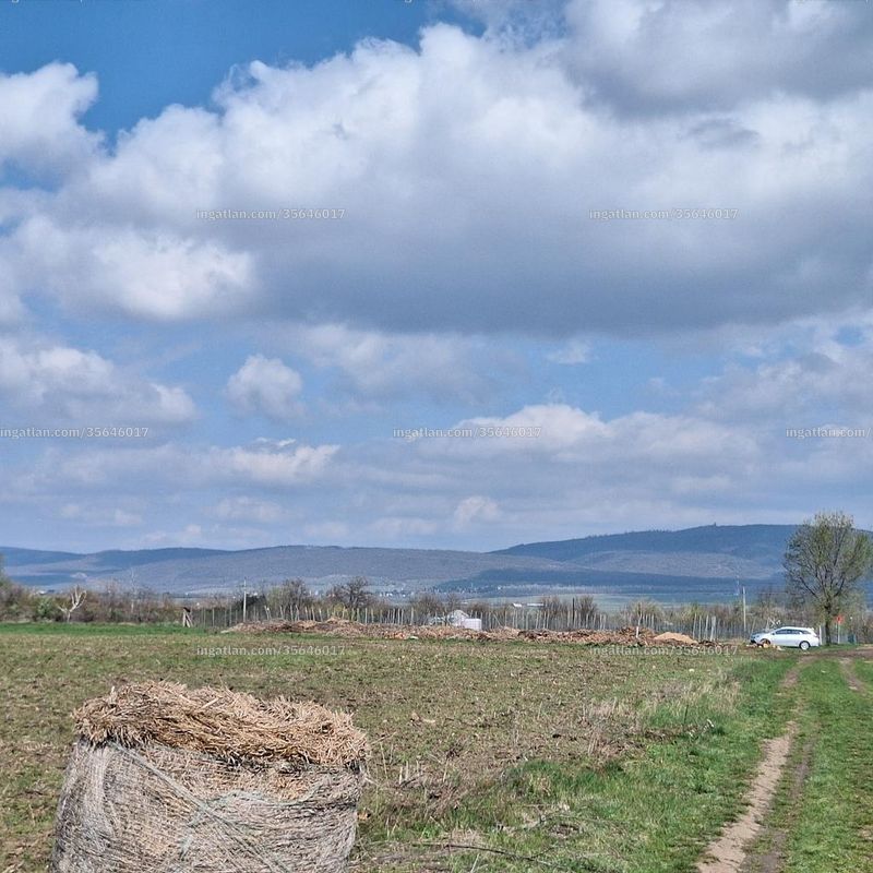 Foto auflisten