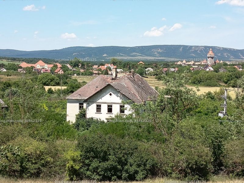 Ingatlan kép