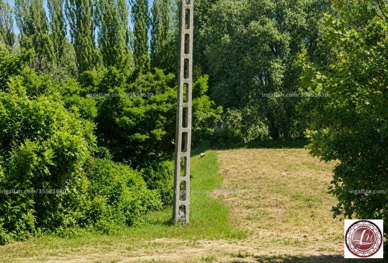Bild über die Immobilie