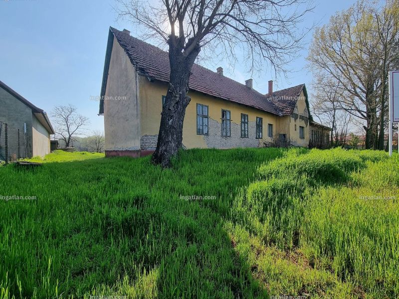Kép az ingatlanról