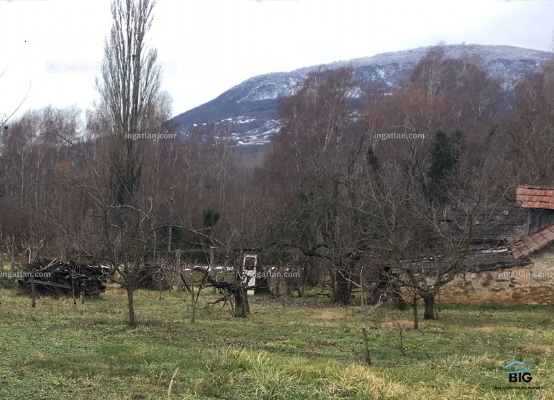 kilátás