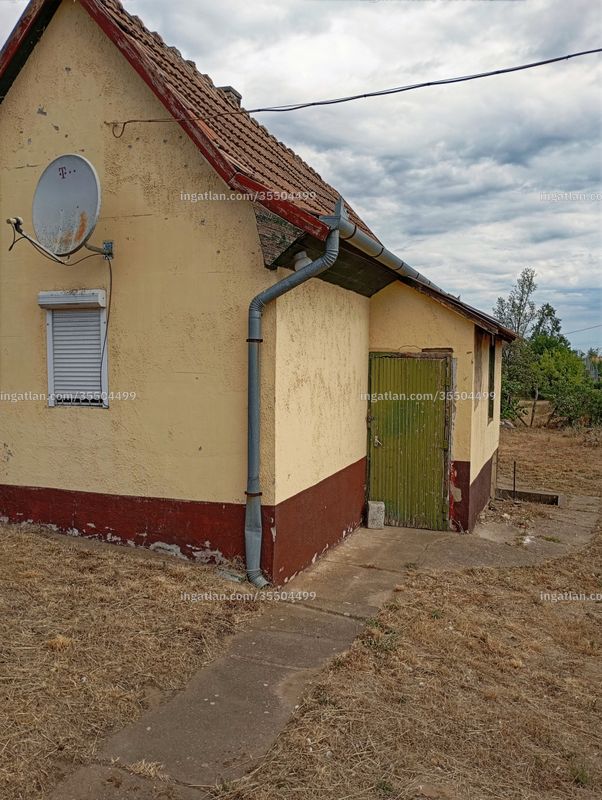Ingatlan kép