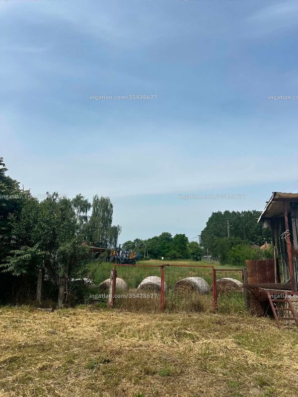 Foto auflisten