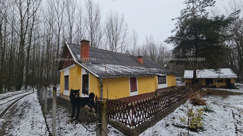 Kép az ingatlanról