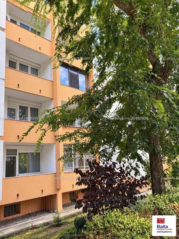 Ingatlan kép