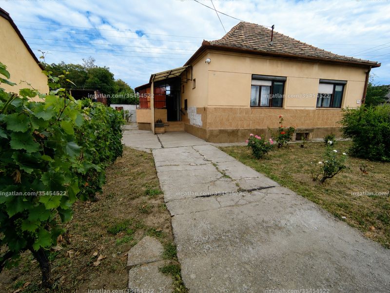 Ingatlan kép