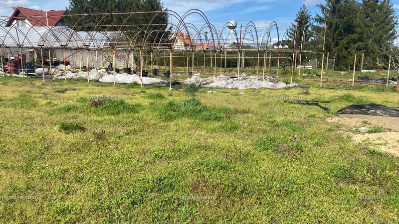 Bild über die Immobilie