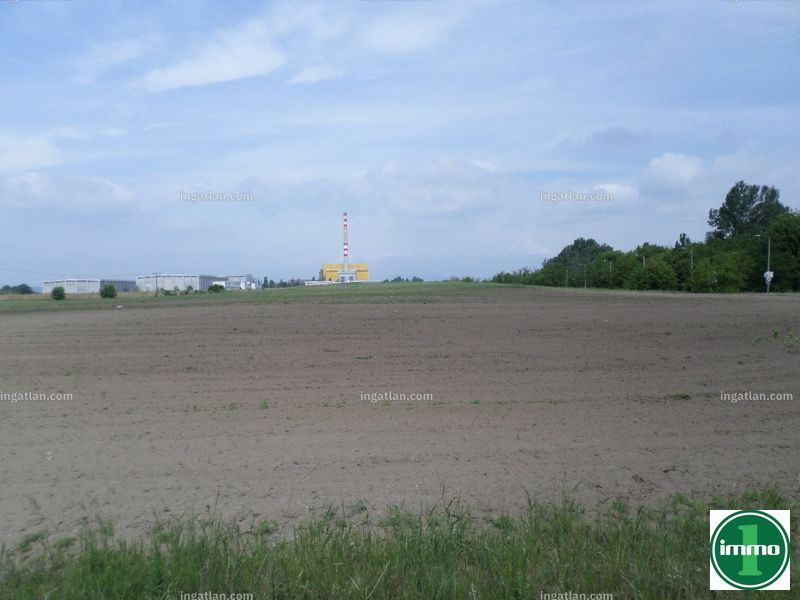 Foto auflisten
