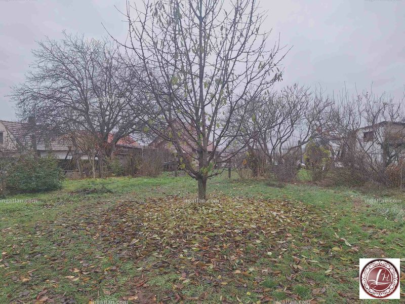 Foto auflisten