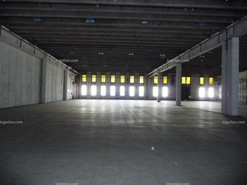 Foto auflisten