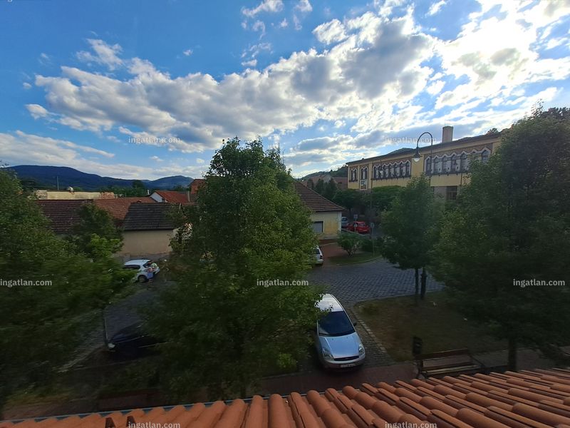 view