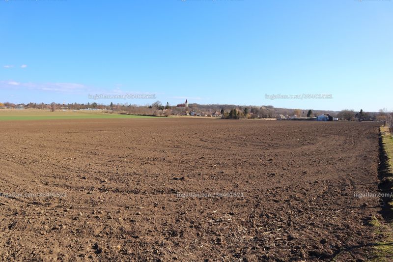 kilátás