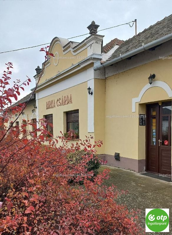 Kép az ingatlanról