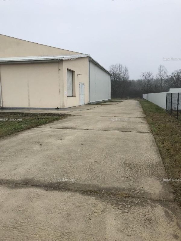 Kép az ingatlanról